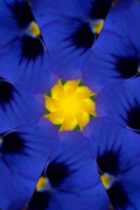 It's the end AND it has changed :-)