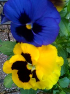 At the end, this will change!