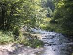 A Blue Ridge Mountain stream behind our friend's house.
