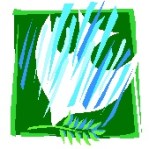 Resistance ≠ Peace