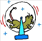 hamster wheel