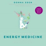The Little Book of Energy Medicine